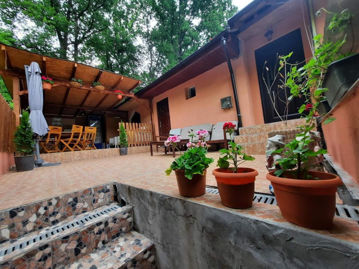 Casa De Vacanta Emd Ieşelniţa Exteriör bild