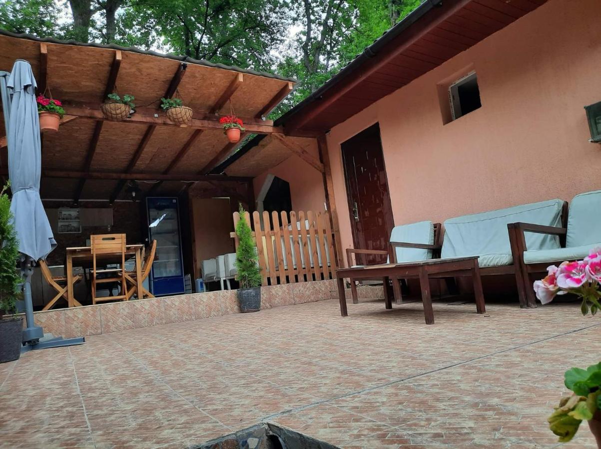 Casa De Vacanta Emd Ieşelniţa Exteriör bild