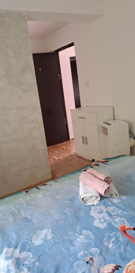 Casa De Vacanta Emd Ieşelniţa Exteriör bild