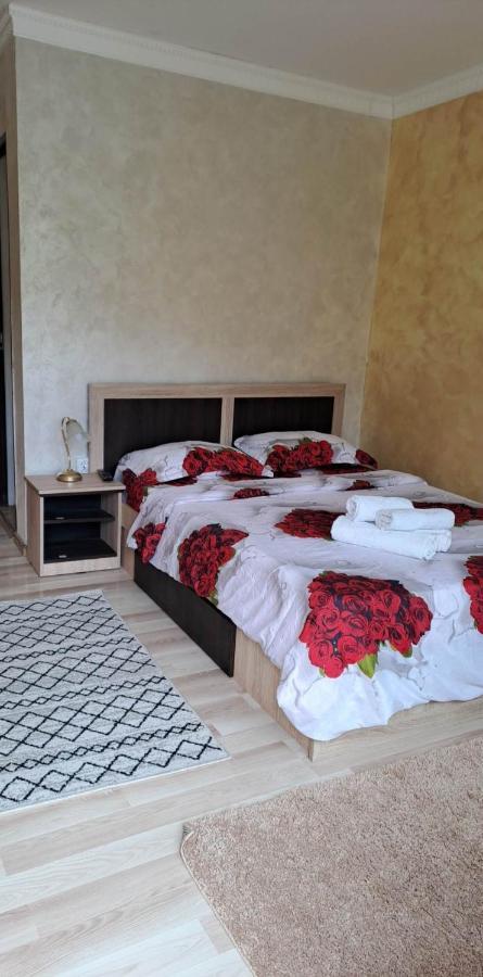 Casa De Vacanta Emd Ieşelniţa Exteriör bild
