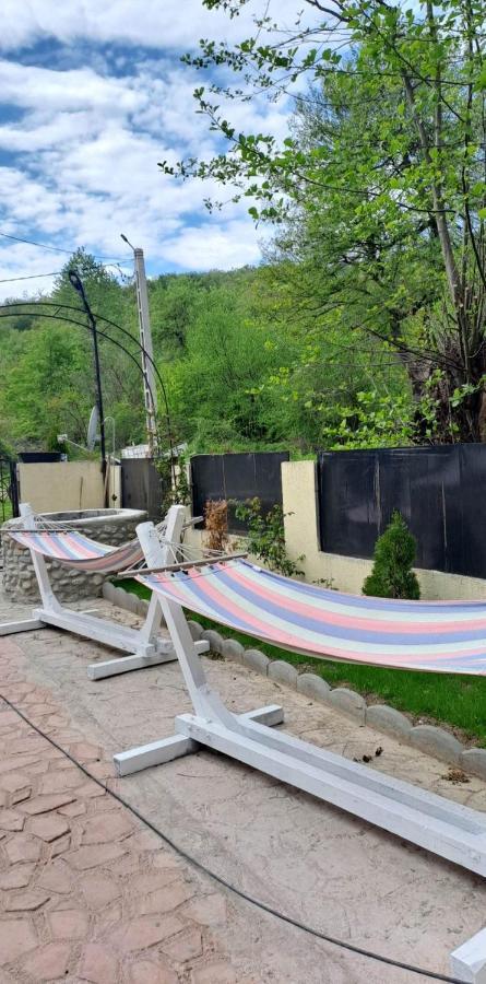 Casa De Vacanta Emd Ieşelniţa Exteriör bild