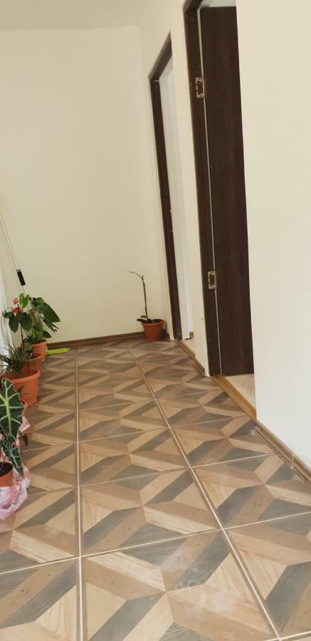 Casa De Vacanta Emd Ieşelniţa Exteriör bild